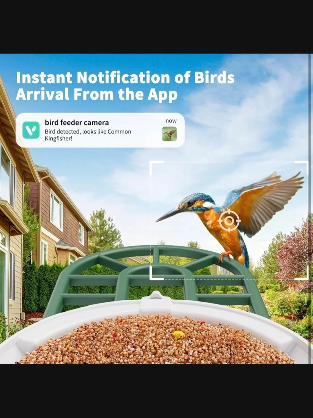 Haymor Green Solar Bird Feeder with Camera New In Box #M2859